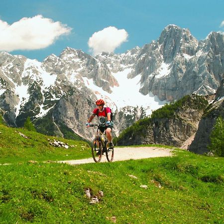 Apartma Gaja Kranjska Gora Kültér fotó