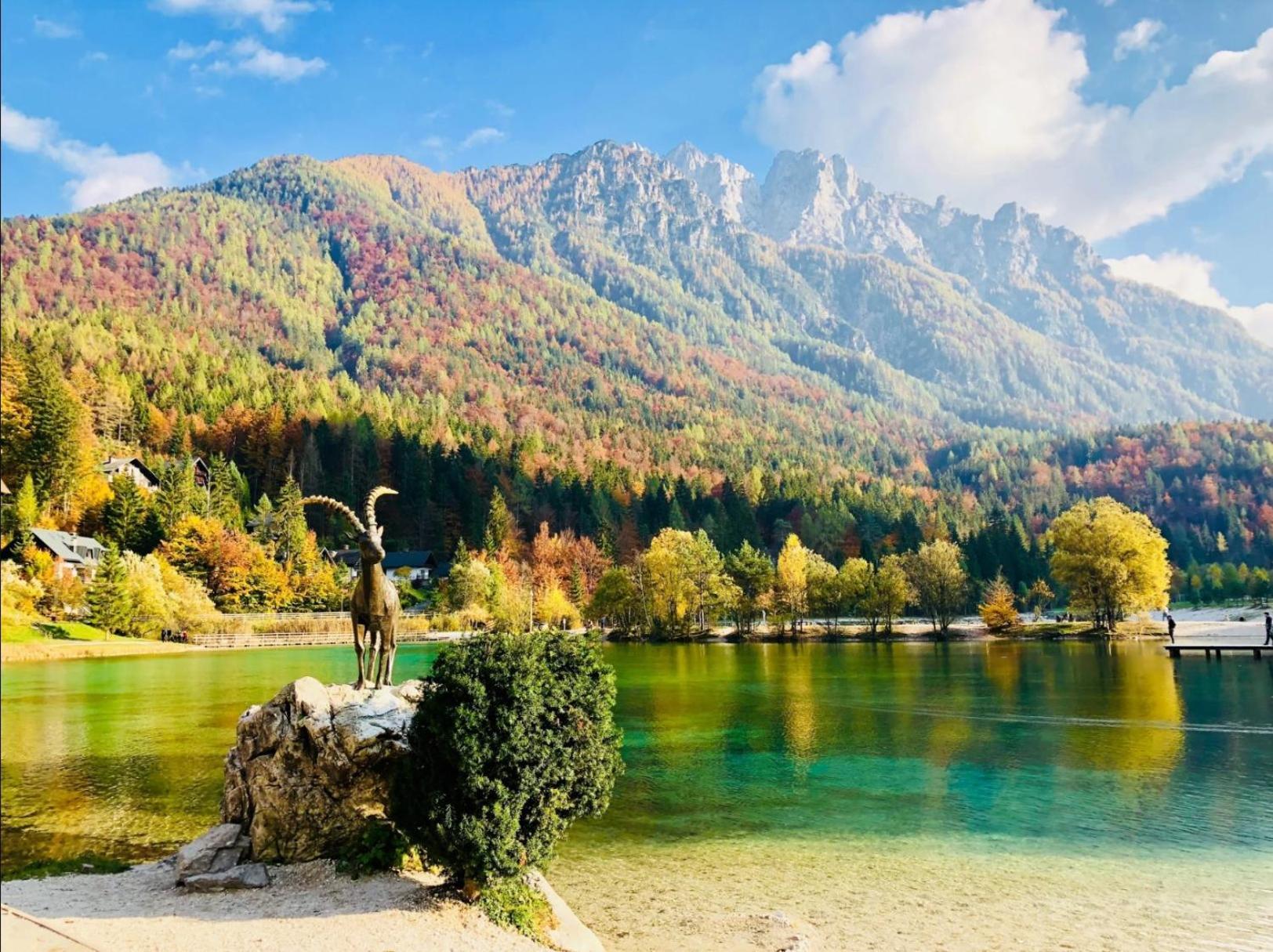 Apartma Gaja Kranjska Gora Kültér fotó
