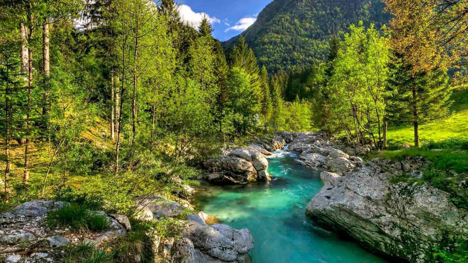 Apartma Gaja Kranjska Gora Kültér fotó